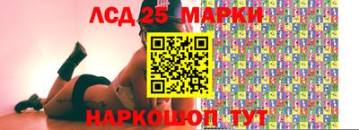 гидропоника Будённовск