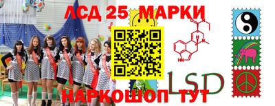 гидропоника Будённовск